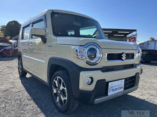 2020 Other All Other All