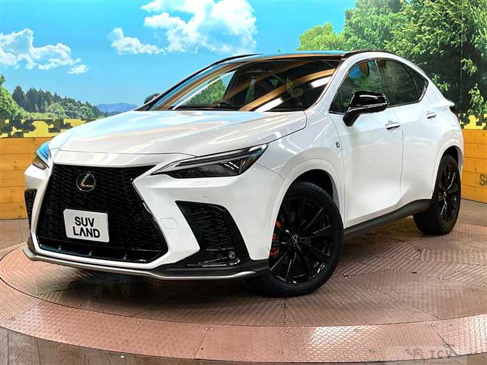 2023 Lexus NX