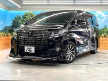 2016 Toyota Alphard
