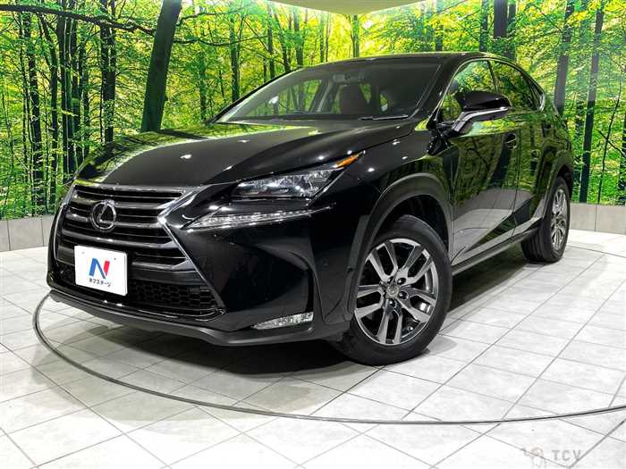 2014 Lexus NX