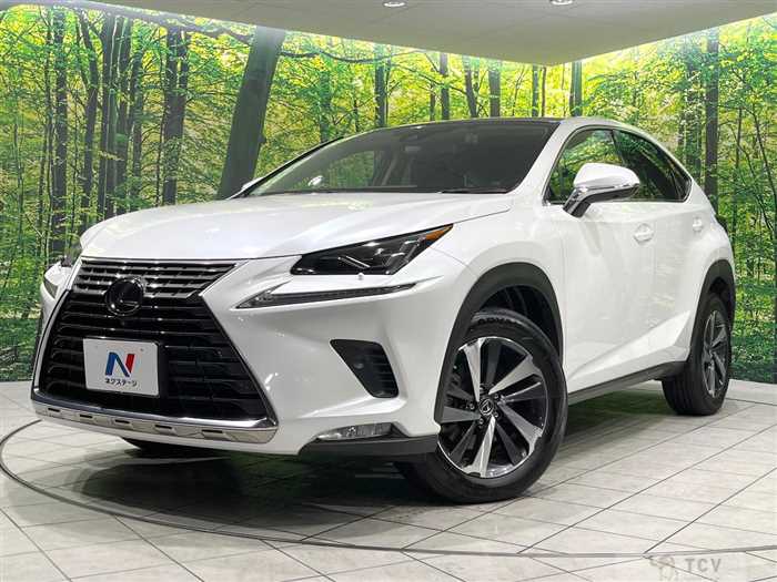 2019 Lexus NX
