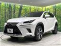 2019 Lexus NX