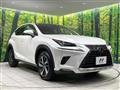 2019 Lexus NX