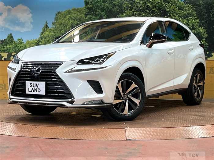 2020 Lexus NX