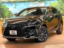 2021 Lexus NX