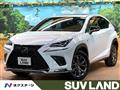 2020 Lexus NX