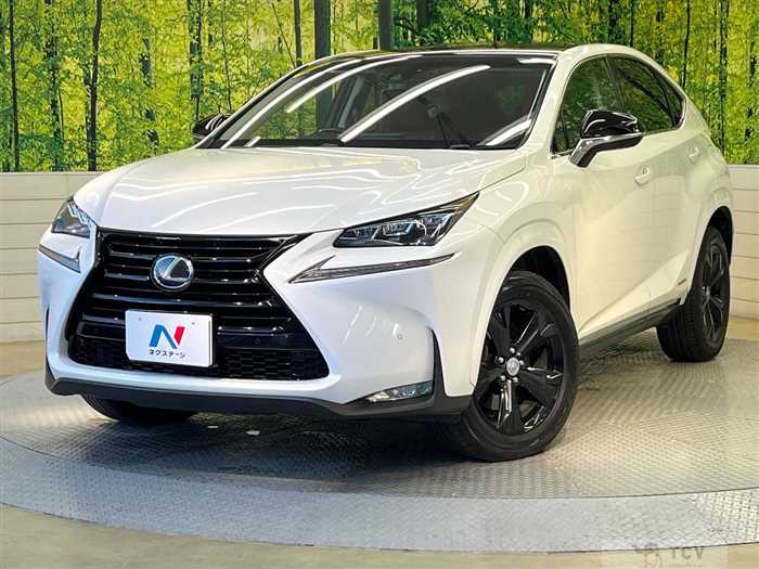 2017 Lexus NX