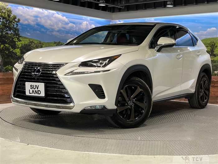 2018 Lexus NX