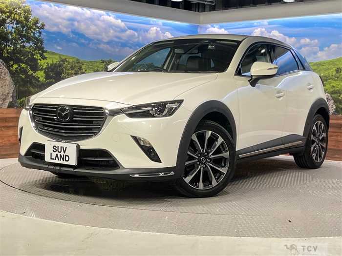 2019 Mazda CX-3
