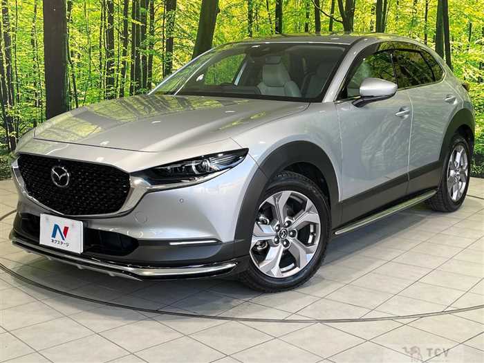 2019 Mazda Mazda Others