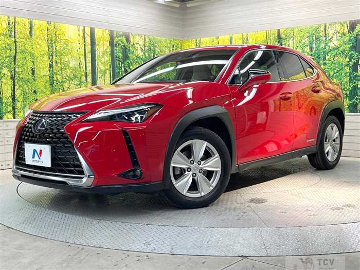2019 Lexus Other