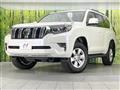 Toyota/Land Cruiser Prado