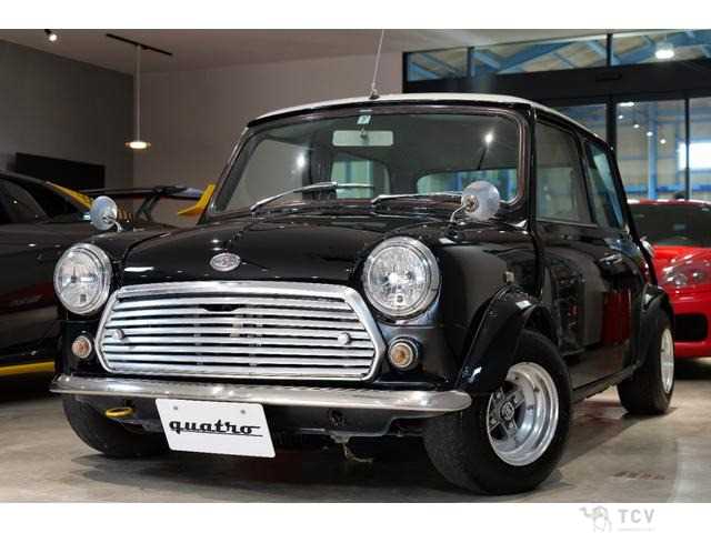 1995 Rover Mini