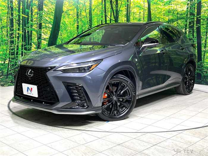 2023 Lexus NX