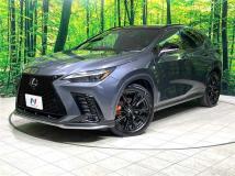 2023 Lexus NX