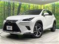 2019 Lexus NX