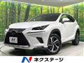 2019 Lexus NX