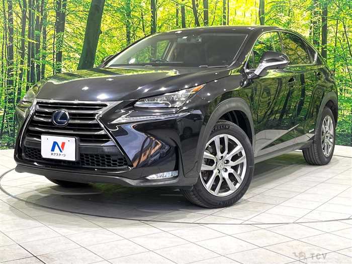 2015 Lexus NX