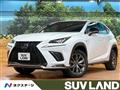 2019 Lexus NX