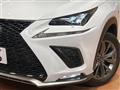 2019 Lexus NX