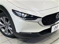 2019 Mazda Mazda Others