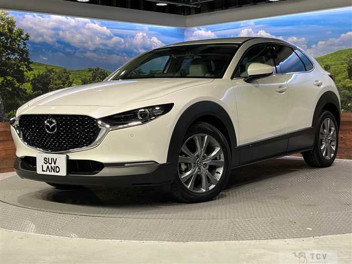 2023 Mazda Mazda Others