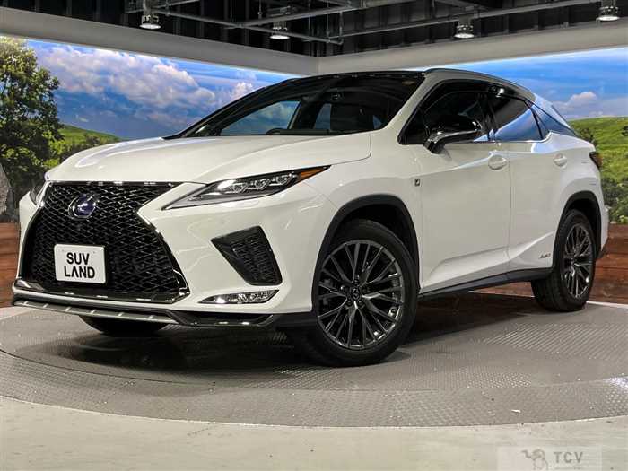 2020 Lexus RX
