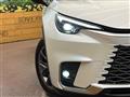 2025 Lexus Other