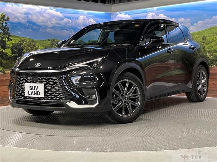 2024 Lexus Other