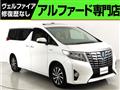 2016 Toyota Alphard G