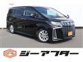 2020 Toyota Alphard G