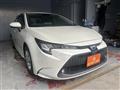 2019 Toyota Corolla Sedan