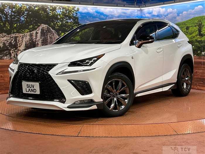 2019 Lexus NX