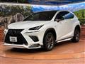 2019 Lexus NX