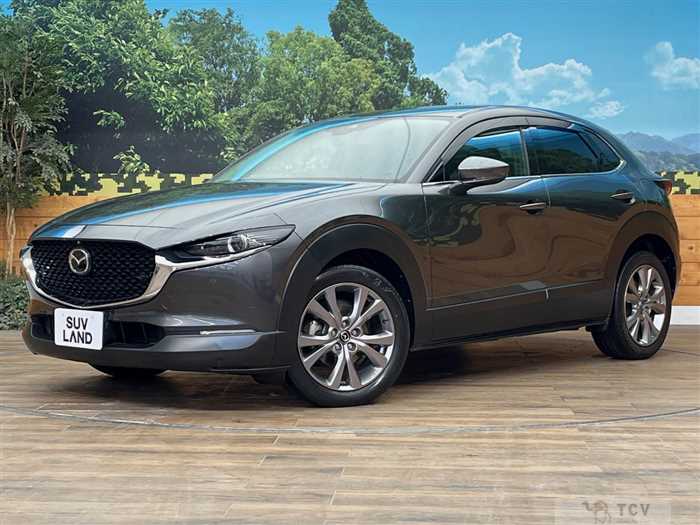 2020 Mazda Mazda Others