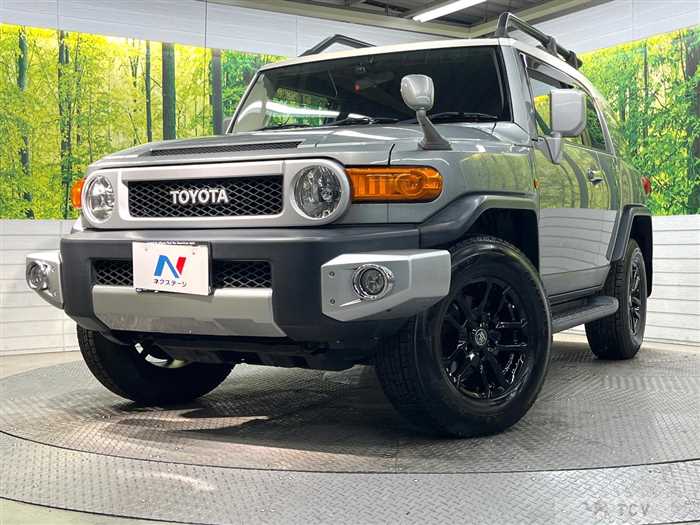 2011 Toyota FJ Cruiser