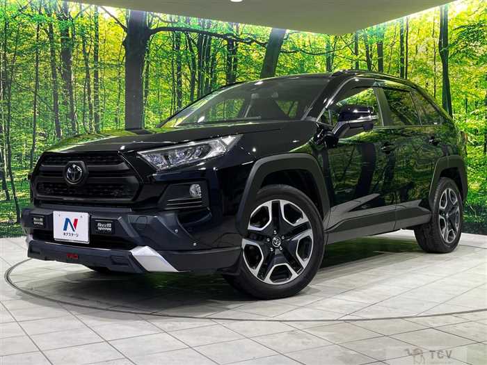 2019 Toyota RAV4
