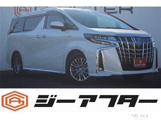 2019 Toyota Alphard G