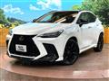 2025 Lexus NX