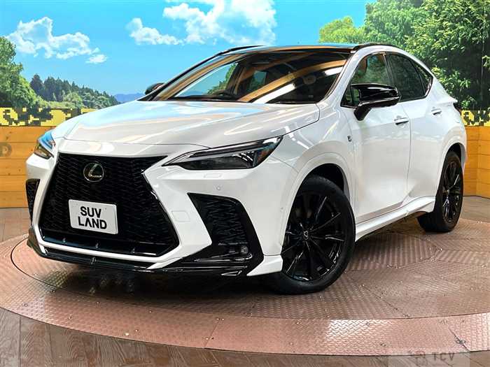 2025 Lexus NX