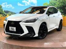 2025 Lexus NX