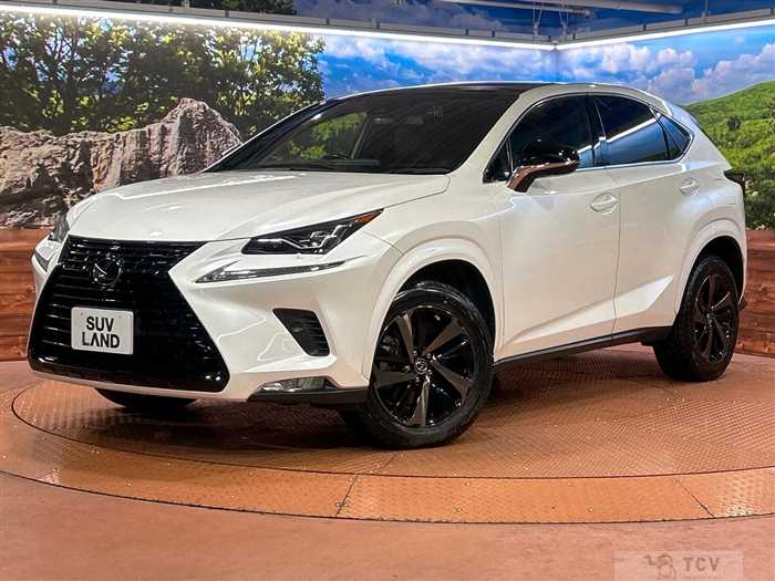 2020 Lexus NX
