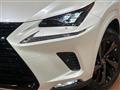 2020 Lexus NX
