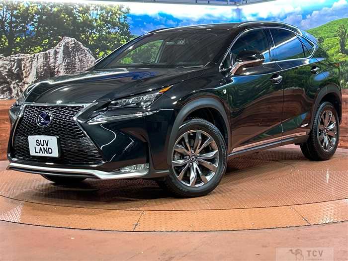 2015 Lexus NX