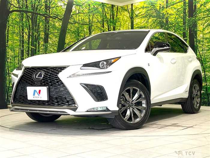 2019 Lexus NX