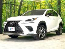 2019 Lexus NX