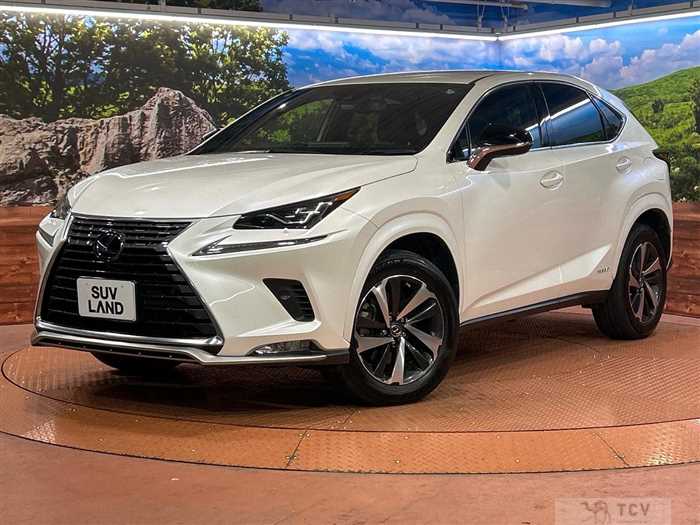 2020 Lexus NX