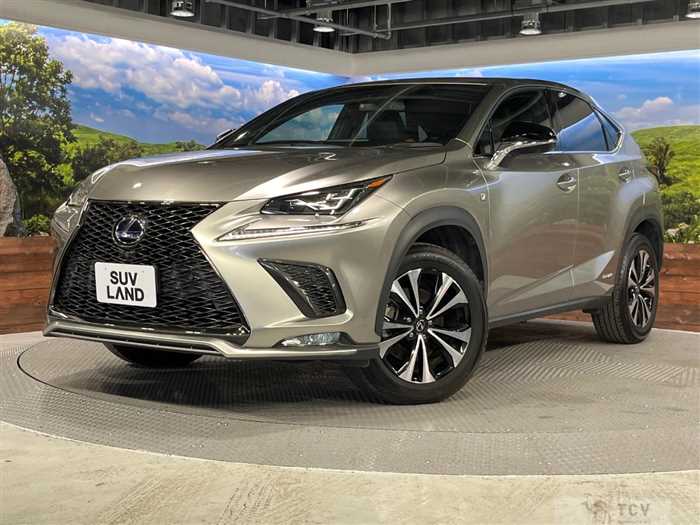 2021 Lexus NX