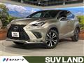 2021 Lexus NX