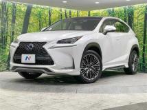 2014 Lexus NX